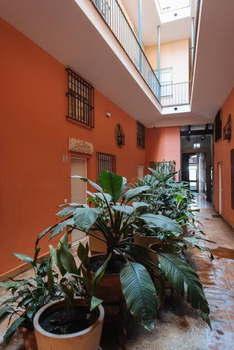 Selecta Elegante Y Centrico Apartamento إشبيلية المظهر الخارجي الصورة
